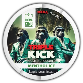 Снюс Aroma King NoNic Menthol Ice 100 мг 53473 Фото Інтернет магазина Кальянів - Вейпікс