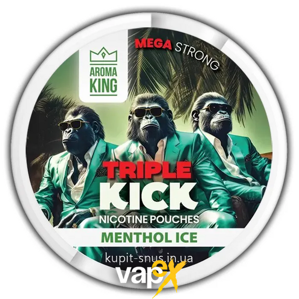 Снюс Aroma King NoNic Menthol Ice 100 мг 53473 Фото Інтернет магазина Кальянів - Вейпікс