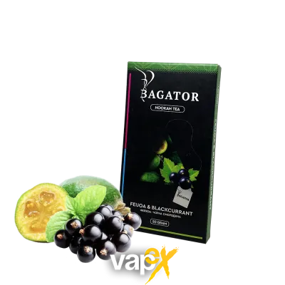 Кальянная чайная смесь Bagator Hookah Tea Feijoa Blackcurrant (Фейхоа Чорная Смородина, 50 г)   20262 Фото Інтернет магазину Кальянів - Вейпикс