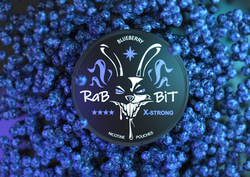 Снюс Rabbit Blueberry 150 мг 5654765 Фото Інтернет магазина Кальянів - Вейпікс