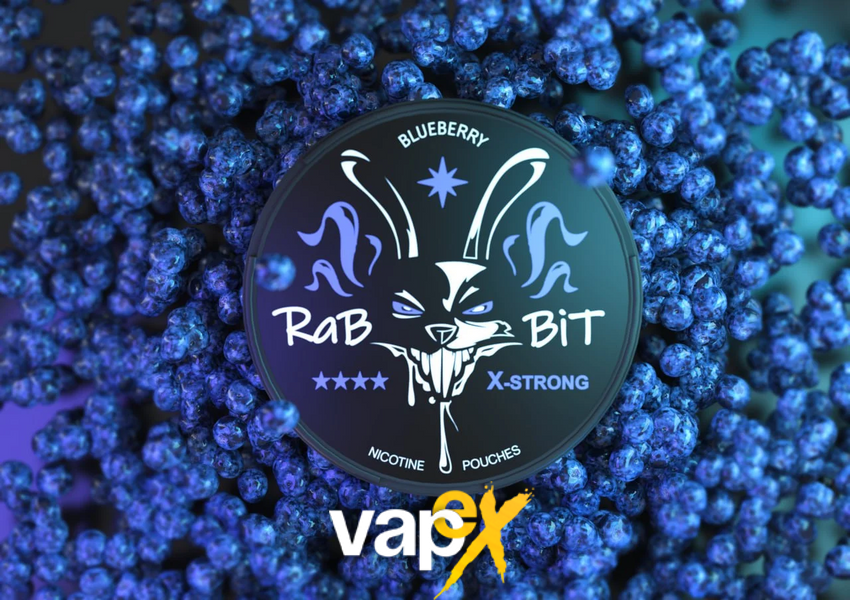 Снюс Rabbit Blueberry 150 мг 5654765 Фото Інтернет магазину Кальянів - Вейпикс